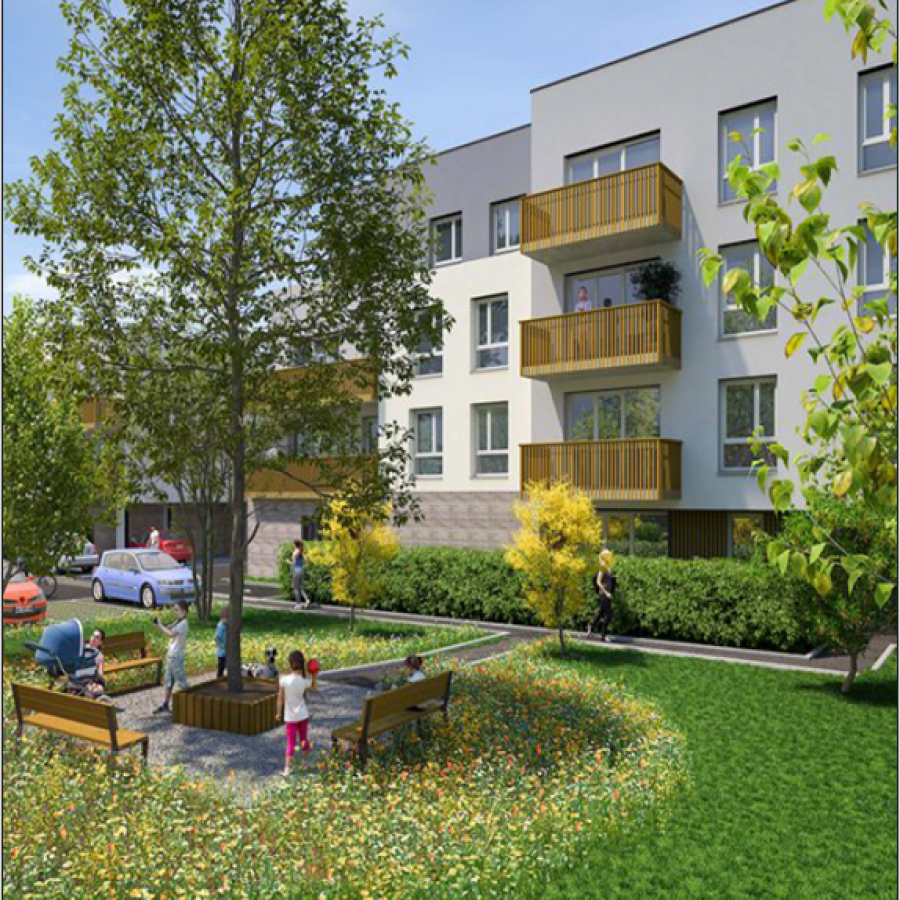 Image3
